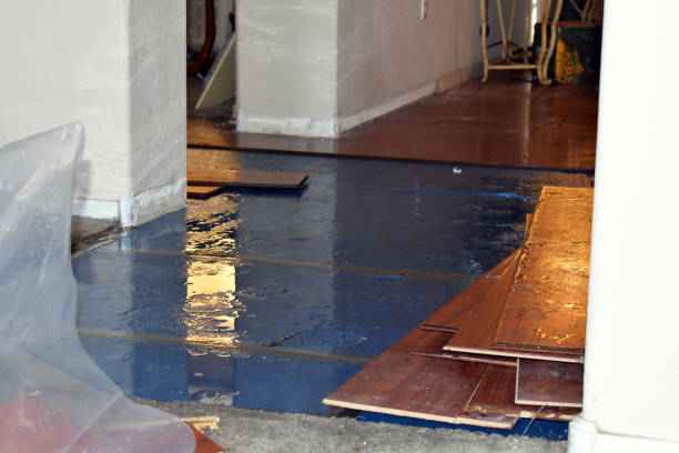 Professional Emergency Water Damage Restoration technician working in Bradfordwoods, PA